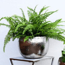Image showing the Hammered Bowl planter, H21 x W30 x D30cm, Nickel product.