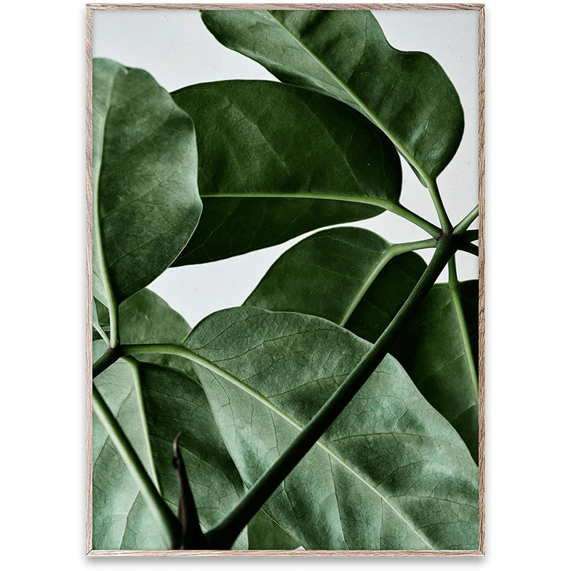 Green Home 01 Print, 30 x 40cm, Multi