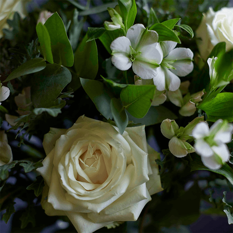 Letterbox 6 Month Flower Subscription