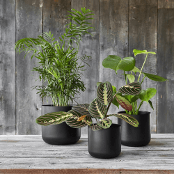 Image showing the Lisbon Planter, D26cm, Anthracite product.