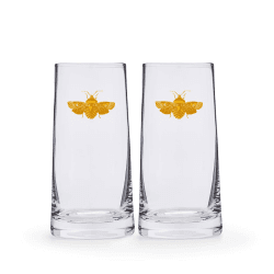 Image showing the Creatures of Curiosity Pair of Highball Tumblers, Clear product.