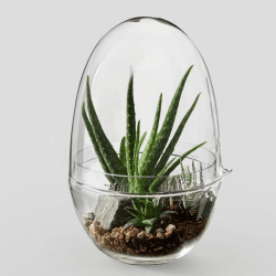 Image showing the Grow Large greenhouse, D20 x H32cm, Clear product.