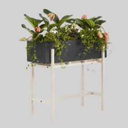 Image showing the Botanic Stand, Grey product.