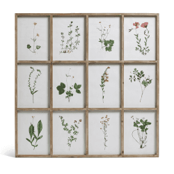 Image showing the Set of Twelve Framed Pressed Flower Prints, Natural product.