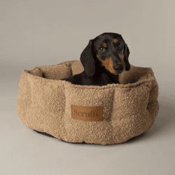 Image showing the Luxury Boucle Box Bed, 45cm, Desert Tan product.