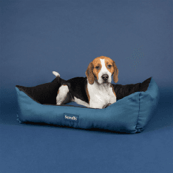 Image showing the Expedition Dog Bed, 90 x 70cm, Atlantic Blue product.