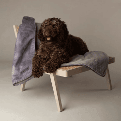 Image showing the Kensington Pet Blanket, 110 x 75cm, Grey product.