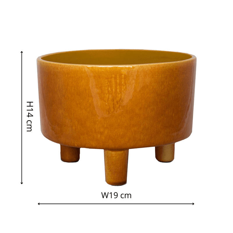Pisa Bowl planter, D19cm, Mustard