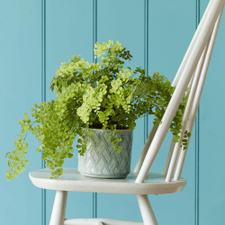 Image showing the Barcelona Indoor Plant Pot, Celadon, Blue product.
