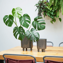 Image showing the Pisa Planter, D20cm, Slate product.