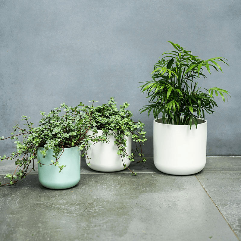 Lisbon Planter, H25.5 x W26 x D26cm, White