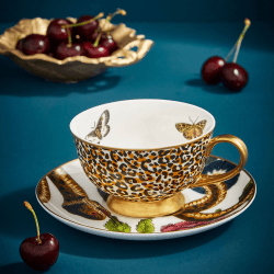 Image showing the Creatures of Curiosity Tea Cup & Saucer Coupe, White product.