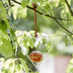Image showing the Apple Bird Feeder, Heart, White/Blue product.