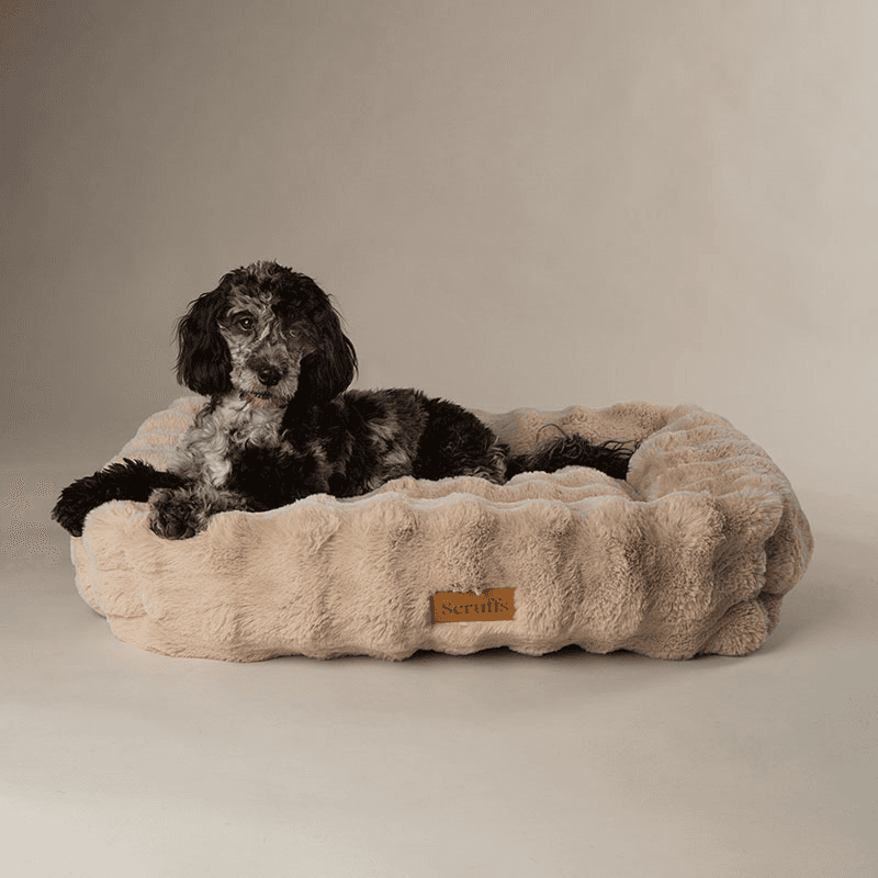 Supersoft Alpine Box Bed, 75 x 60cm, Champagne