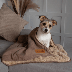Image showing the Snuggle Pet Blanket, 110 x 72.5cm, Caramel Brown product.