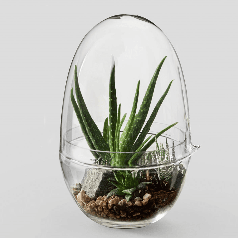 Grow Large greenhouse, D20 x H32cm, Clear