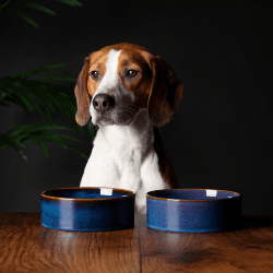 Image showing the Reactive Glaze Dog Bowl, D15cm, Midnight Blue product.