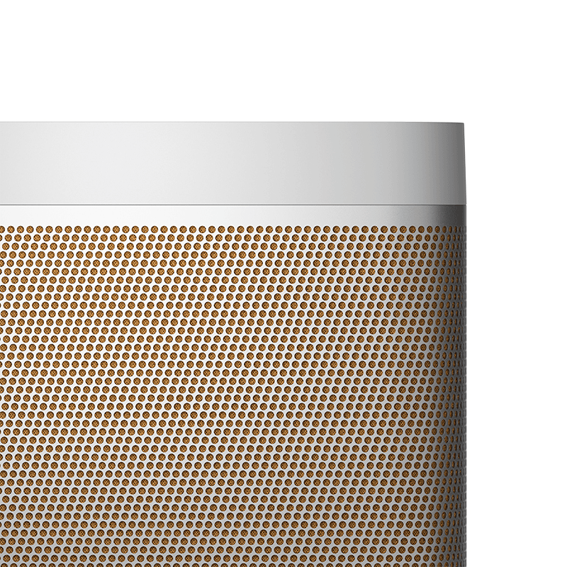Beolit 20 Portable Speaker, Grey Mist