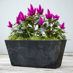 Image showing the Ella Balcony trough, H17 x D55cm, Black product.