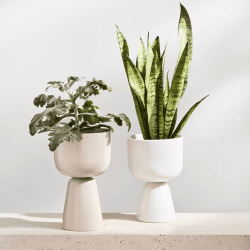 Image showing the Nappula Plant Pot, Beige, Small, Beige product.