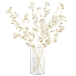 Image showing the Wicker Vase/Lantern, H25 x Dia14cm, clear product.