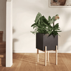 Image showing the Botanical High planter, H182cm, Black product.