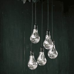 Image showing the Festoon Cluster Lights, Black product.