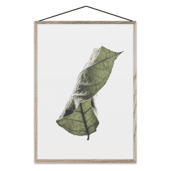 Image showing the Floating Leaves 04 - A5 FSC Print, 21 x 15cm product.
