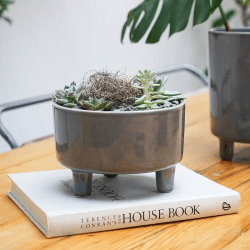 Image showing the Pisa Bowl, D19cm, Slate product.