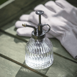 Image showing the Plant Mister, H15.5cm, Clear product.