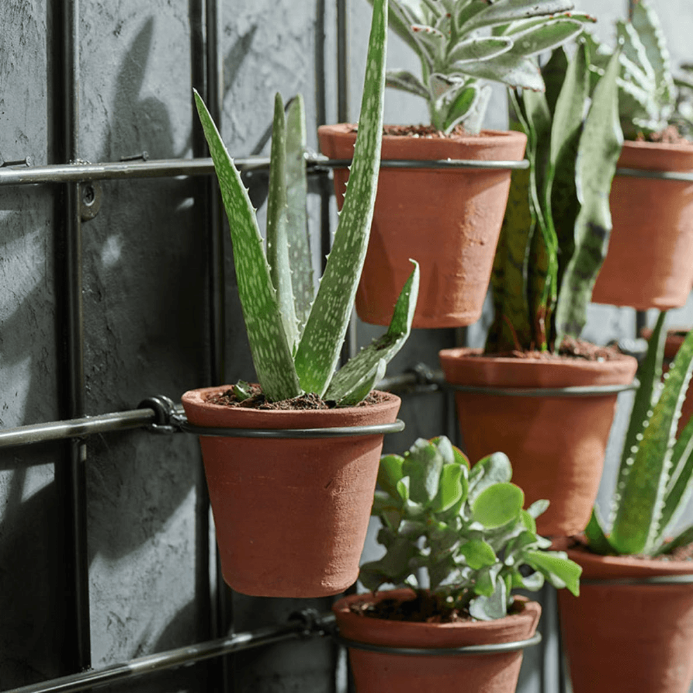 Jara Wall hung planter, 49 x 86 x 14cm, Terracotta/Black
