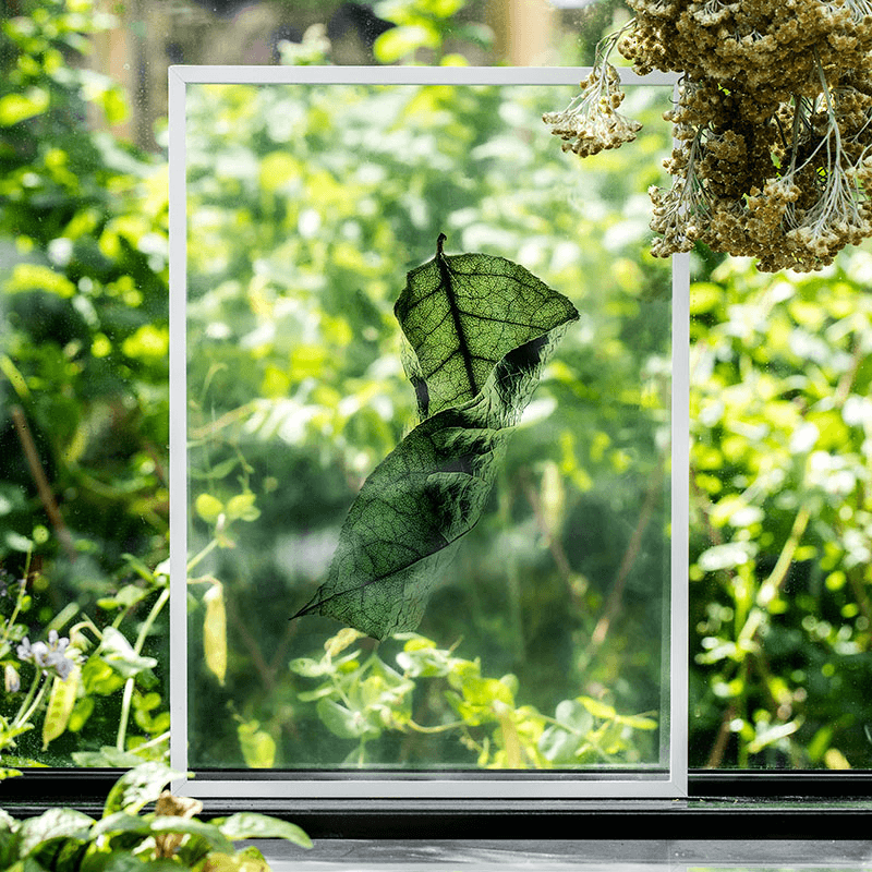 Floating Leaves 04 - A5 FSC Print, 21 x 15cm