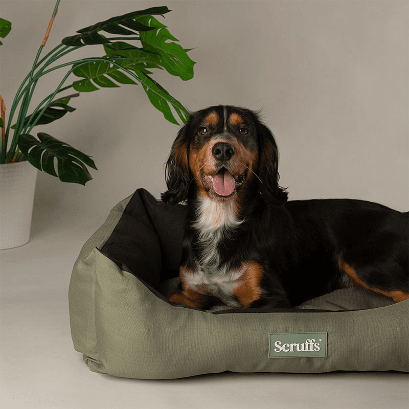 Expedition Dog Bed, 75 x 60cm, Khaki Green