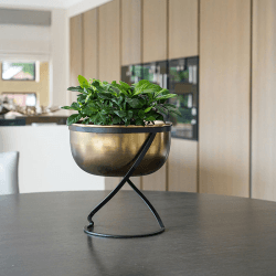 Image showing the Kensington Indoor Planter on Stand, H30 x W28cm, Brass product.