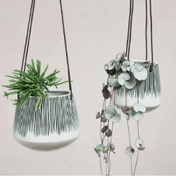 Image showing the Matamba Ceramic Hangng Planter, D14cm, White/Black product.