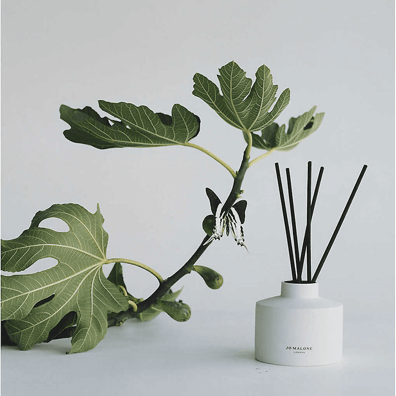 Fresh Fig & Cassis Diffuser and refill, 300ml, White