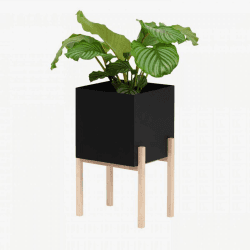 Image showing the Botanical High planter, H182cm, Black product.
