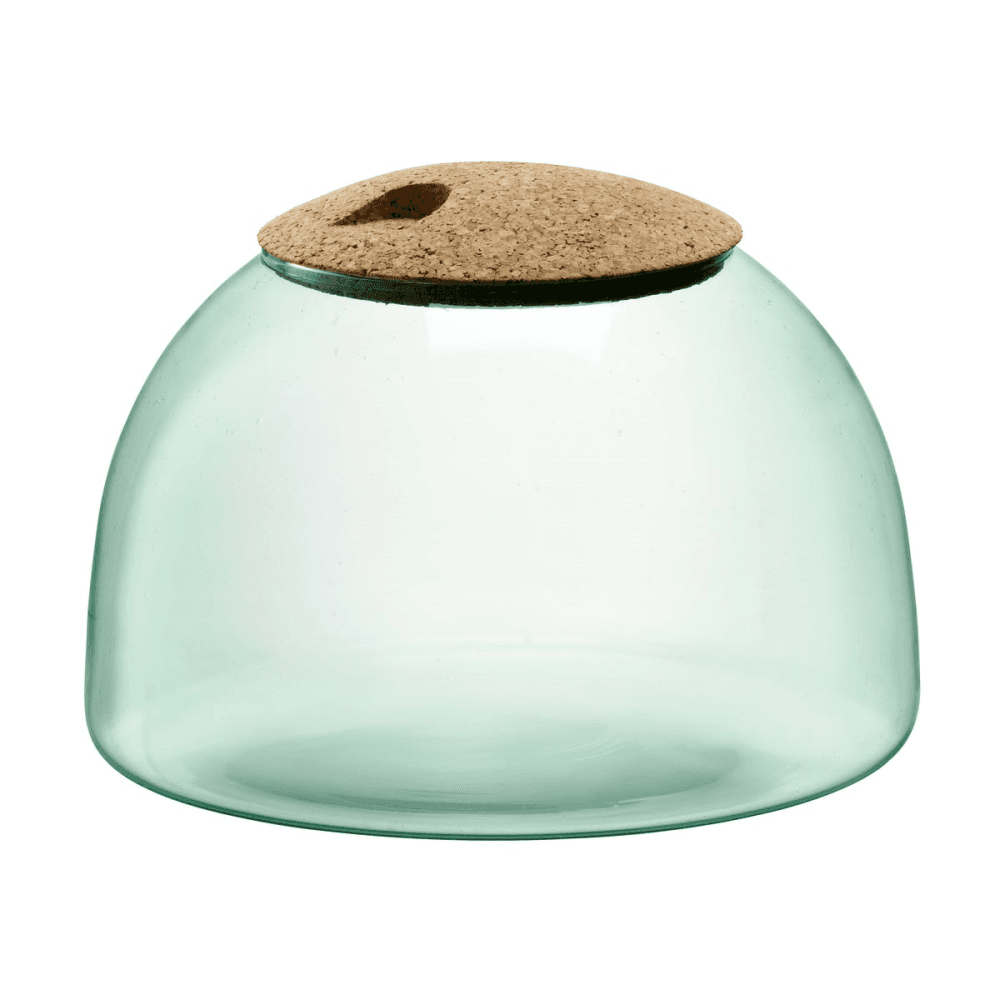 Canopy Garden terrarium, H16.5 x W24cm, recycled glass and cork