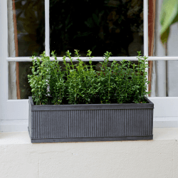 Image showing the Vence Small window box, H18 x W60 x D20cm, Steel product.
