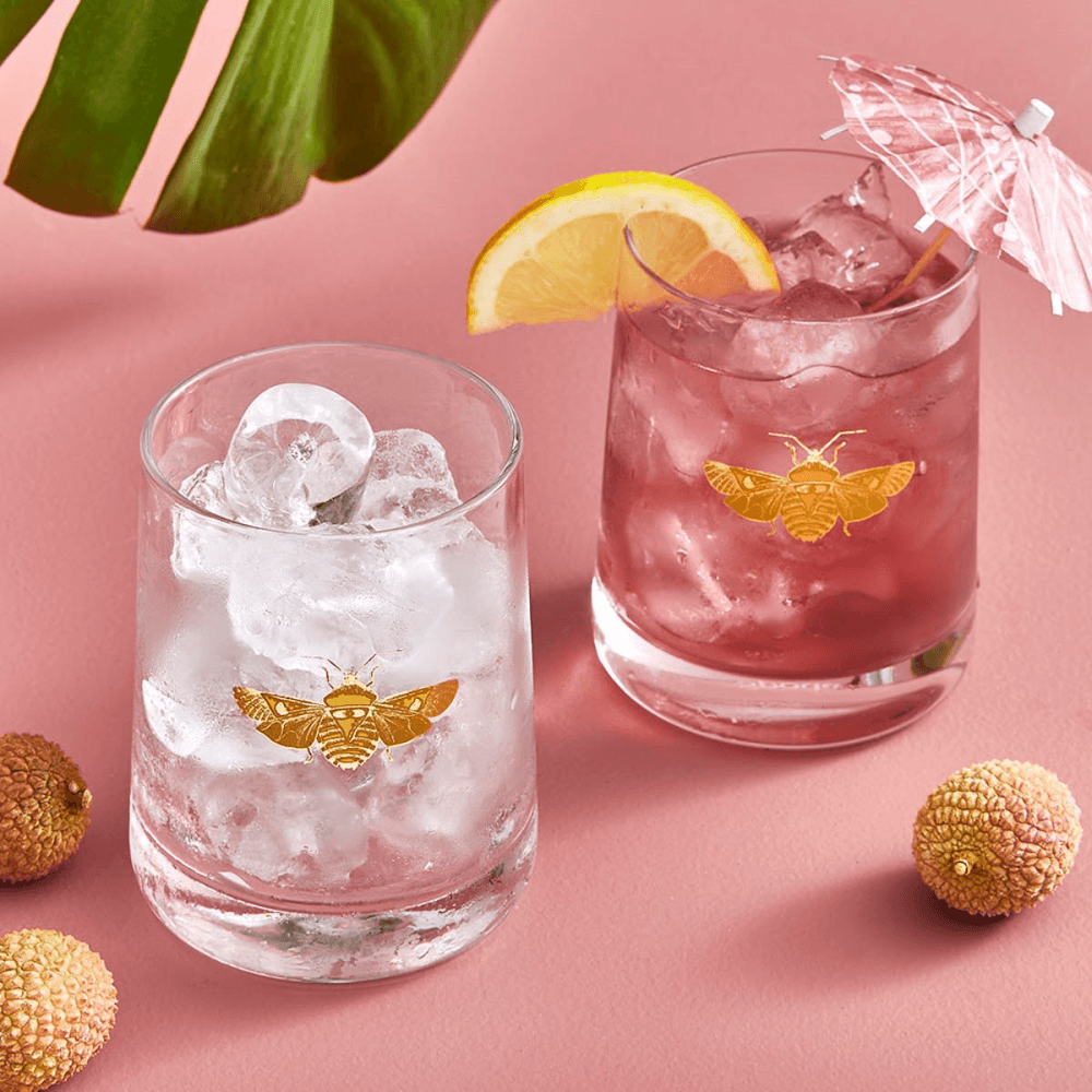 Creatures of Curiosity Pair of Tumblers, Clear