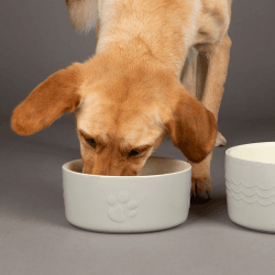 Image showing the Icon Dog Bowl, D19cm, Light Grey product.
