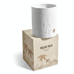 Image showing the Haas Mojave Palm Candle product.