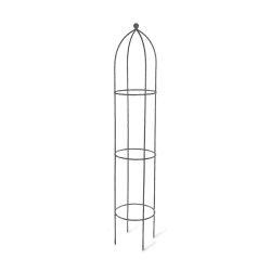 Image showing the Set of 2 plant supports, Silver product.