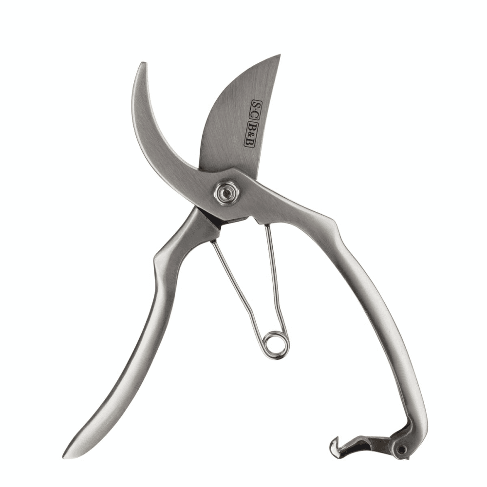 Secateurs, Silver