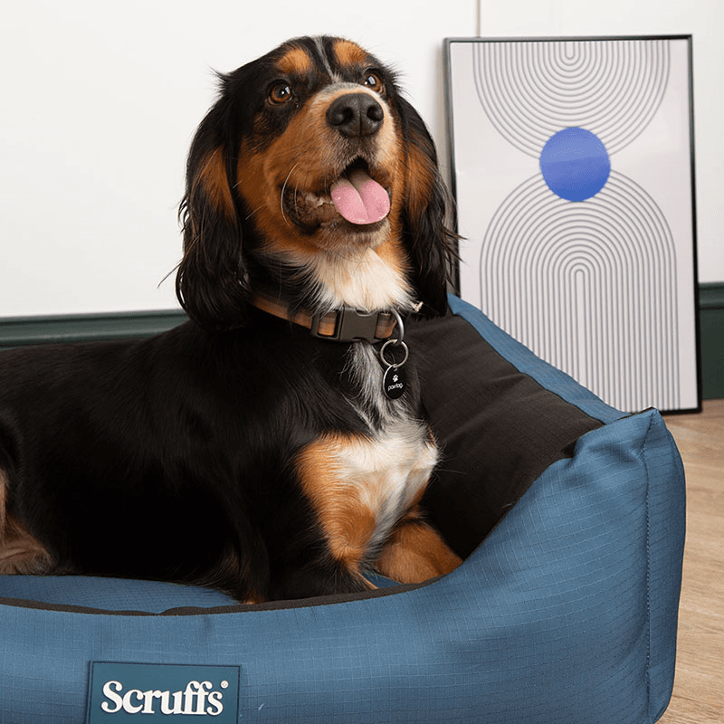 Expedition Dog Bed, 75 x 60cm, Atlantic Blue