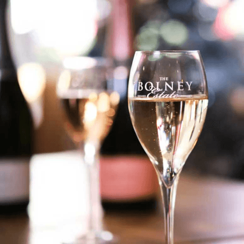 Vineyard Tour with Wine and Cheese Tasting for Two at Bolney Wine Estate