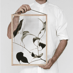 Image showing the Floating Leaves 09 - A2 FSC Print, 60 x 42cm product.