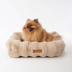 Image showing the Supersoft Alpine Box Bed, 60 x 50cm, Champagne product.