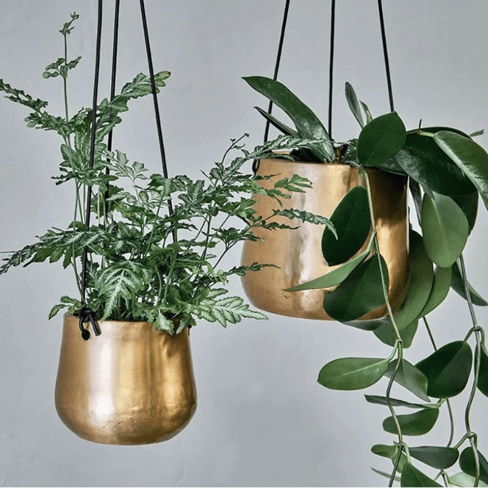 Atsu Brass Hanging Planter Large, Brass