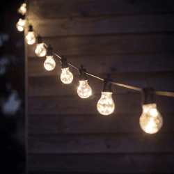 Image showing the Festoon Lights, 10 Bulbs, Black product.